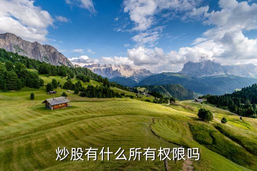 买股票交易权限是什么意思，炒股有什么所有权限
