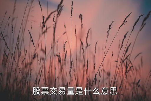 股票起飞前的交易量是什么，股票交易量是什么意思