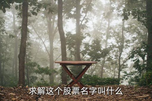 求解这个股票名字叫什么