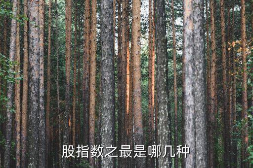股指数之最是哪几种