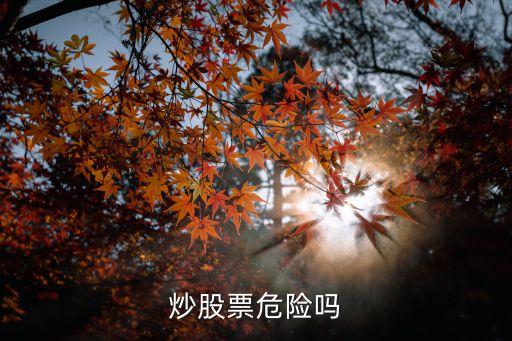 股票风险第一位是什么感觉，炒股票危险吗