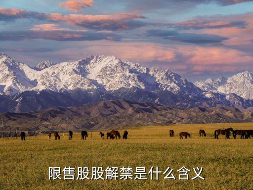 限售股股解禁是什么含义