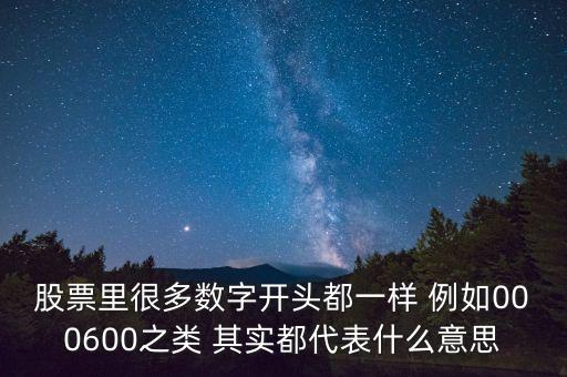 股票里很多数字开头都一样 例如000600之类 其实都代表什么意思
