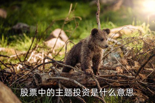 股票中的主题投资是什么意思