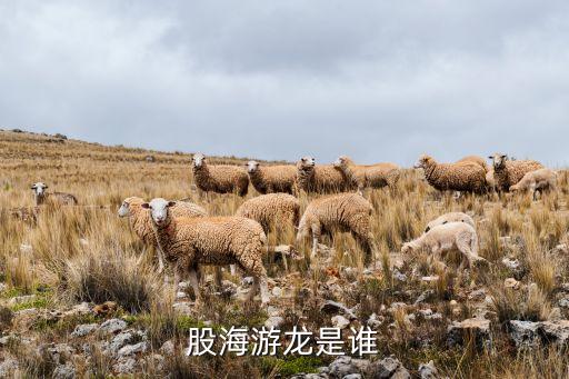 股海游龙是谁