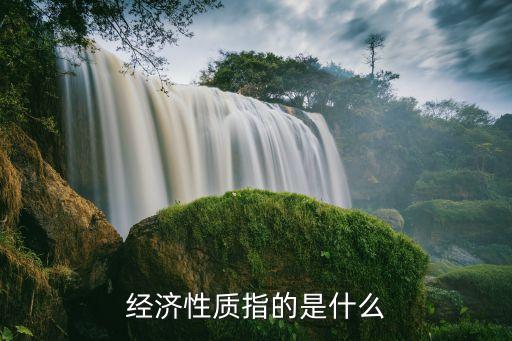 经济性质指的是什么