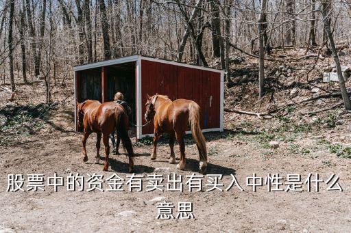 众元科技是卖什么的股票，股票中的资金有卖出有买入中性是什么意思