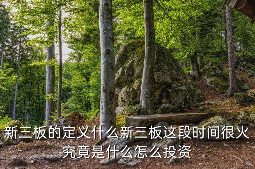 新三板的定义什么新三板这段时间很火究竟是什么怎么投资