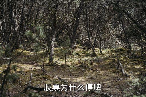 股票为什么停牌