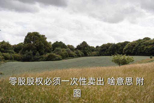 零股股权必须一次性卖出 啥意思 附图