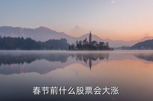 春节前什么股票会大涨