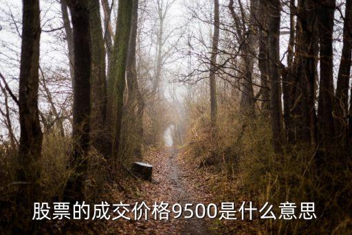 股票的成交价格9500是什么意思