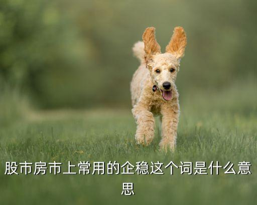 股市房市上常用的企稳这个词是什么意思