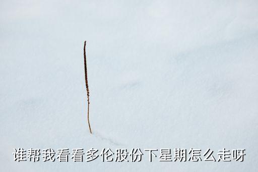 谁帮我看看多伦股份下星期怎么走呀