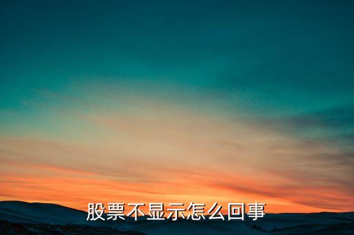股票不显示怎么回事