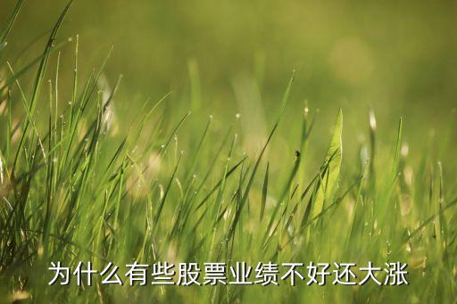 股票为什么净利润低还涨，为什么半年报业绩下滑股票还涨