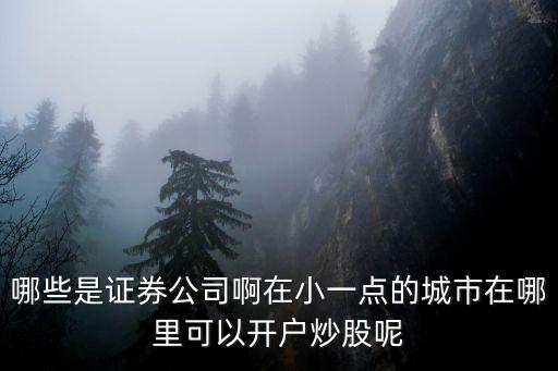 哪些是证券公司啊在小一点的城市在哪里可以开户炒股呢