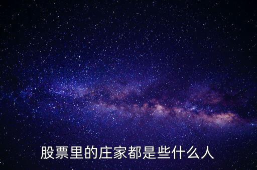 股票里的庄家都是些什么人
