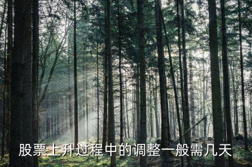 股票上升过程中的调整一般需几天