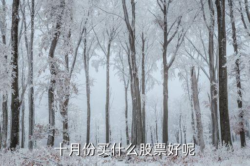 十月份买什么股票好呢