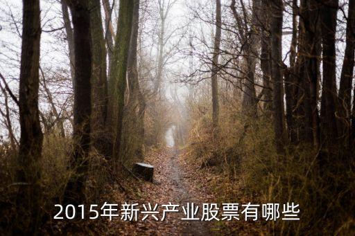 新兴产业园区什么概念股票，什么是新兴股