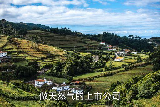 做天然气的上市公司