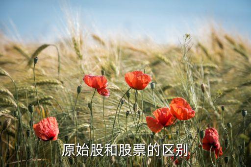 原始股和股票的区别