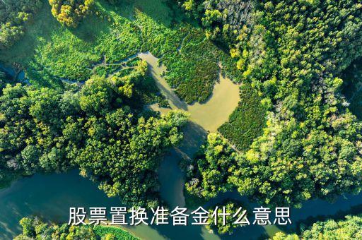 股票置换准备金什么意思