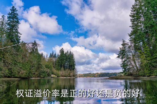 权证溢价率是正的好还是负的好