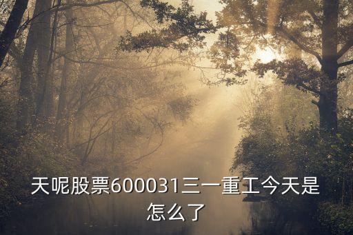 天呢股票600031三一重工今天是怎么了