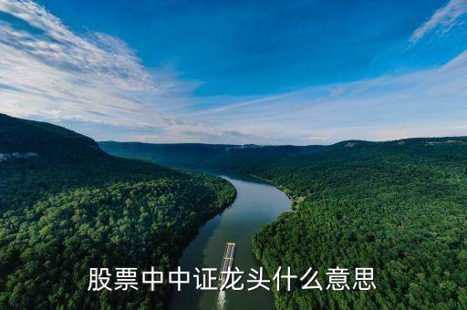 股票中中证龙头什么意思