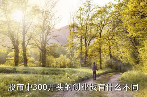 股市中300开头的创业板有什么不同
