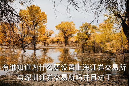 有谁知道为什么要设置上海证券交易所与深圳证券交易所吗并且对于