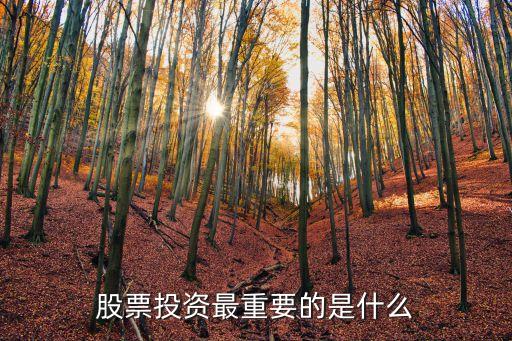 股票投资最重要的是什么