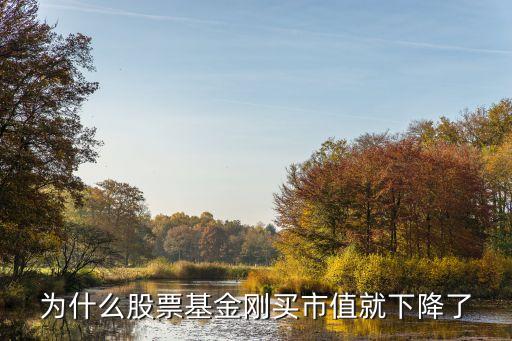 买了基金为什么股票一直跌，为什么股票涨基金还跌啊