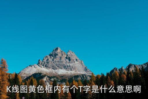 股票线有个t是什么意思，股票T线什么意思