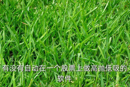 有没有自动在一个股票上做高抛低吸的软件