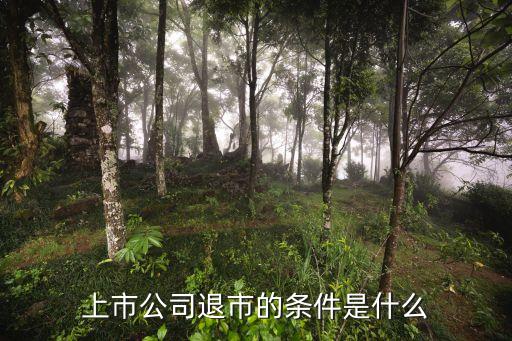 上市公司退市的条件是什么
