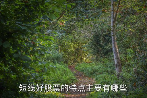 短线好股票的特点主要有哪些