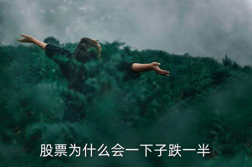 为什么股票会高位下跌一半，为什么公司股价跌了一半