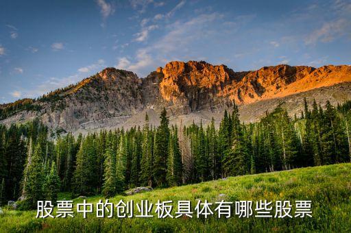 股票中的创业板具体有哪些股票