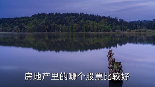 房地产里的哪个股票比较好