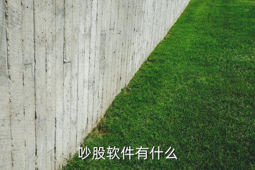 有什么高抛低吸的股票软件，吵股软件有什么