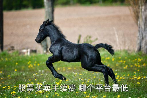 股票买卖手续费 哪个平台最低