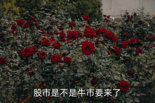 什么样的股票是真牛市场，股市是不是牛市要来了