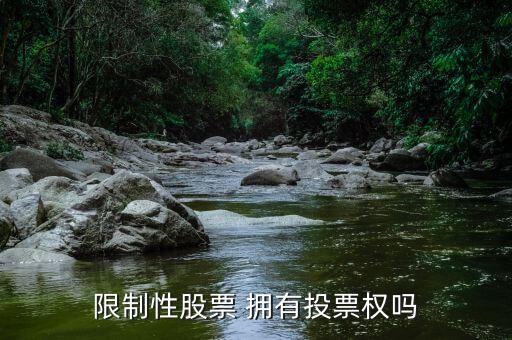什么样的股票无投票权，什么是无投票权的股权