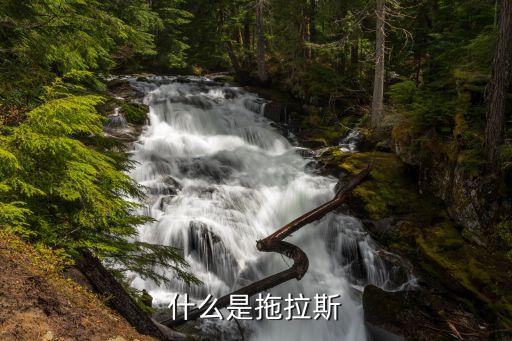 股票里特拉斯是什么意思，特拉斯是什么