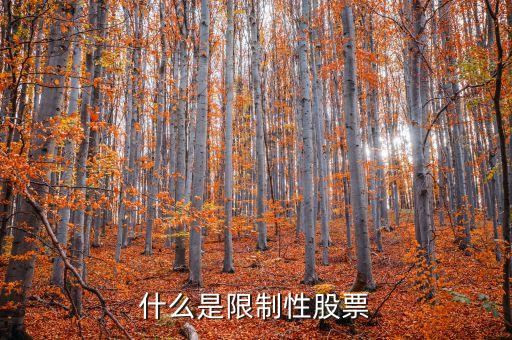 什么是限制性股票