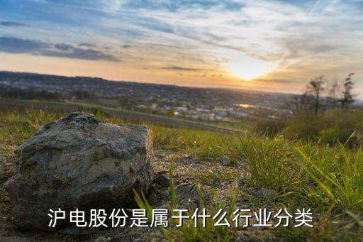 沪电股份是属于什么行业分类