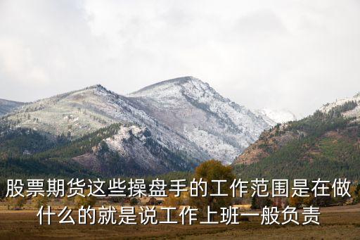 股票期货这些操盘手的工作范围是在做什么的就是说工作上班一般负责